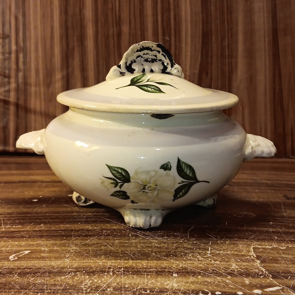 Vintage Homer Laughlin Nautilus garden footed sugar bowl